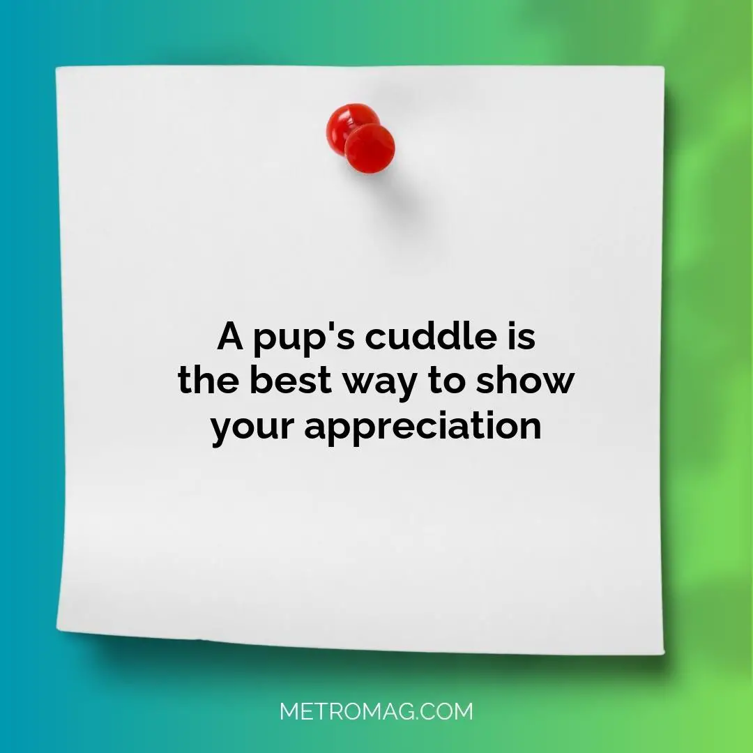 A pup's cuddle is the best way to show your appreciation
