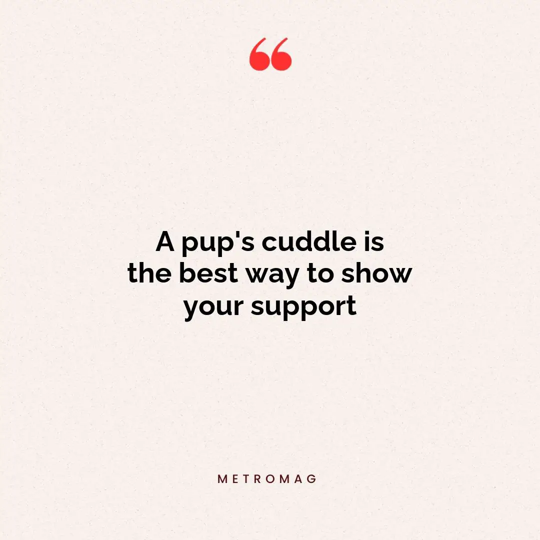 A pup's cuddle is the best way to show your support
