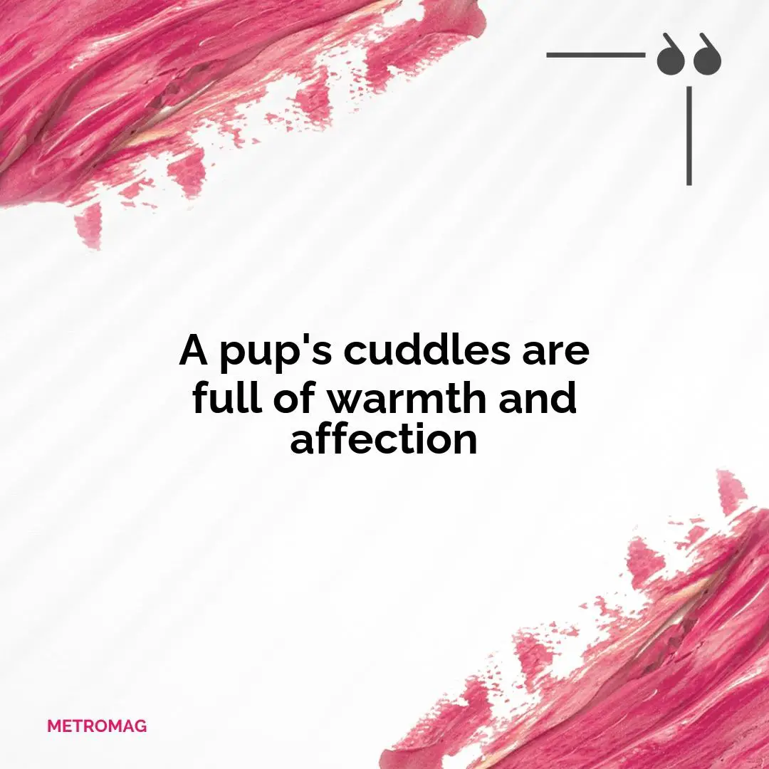 A pup's cuddles are full of warmth and affection
