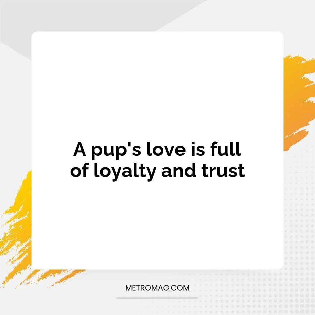 A pup's love is full of loyalty and trust