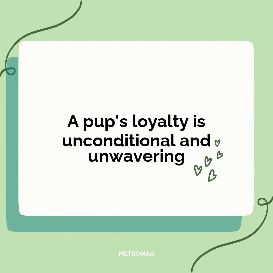 A pup's loyalty is unconditional and unwavering