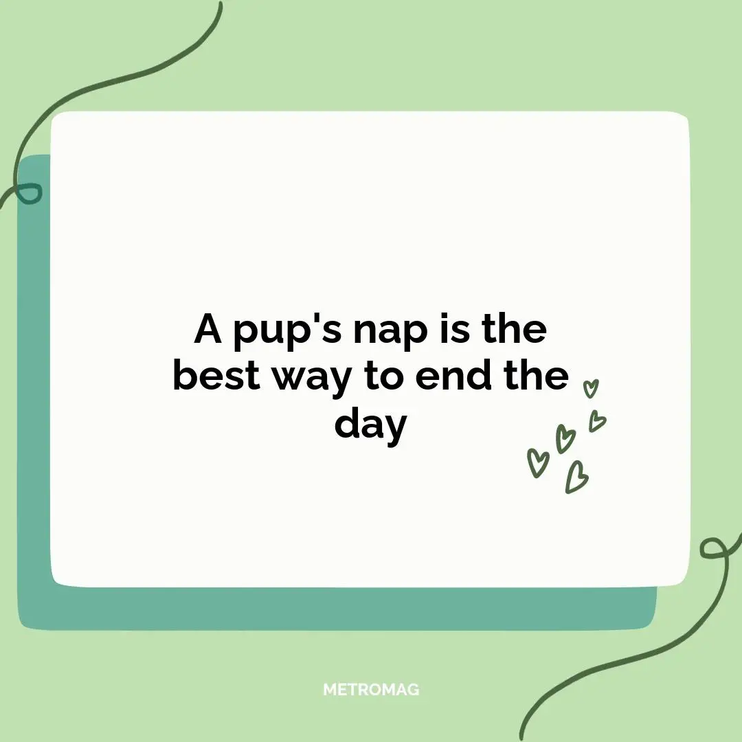 A pup's nap is the best way to end the day