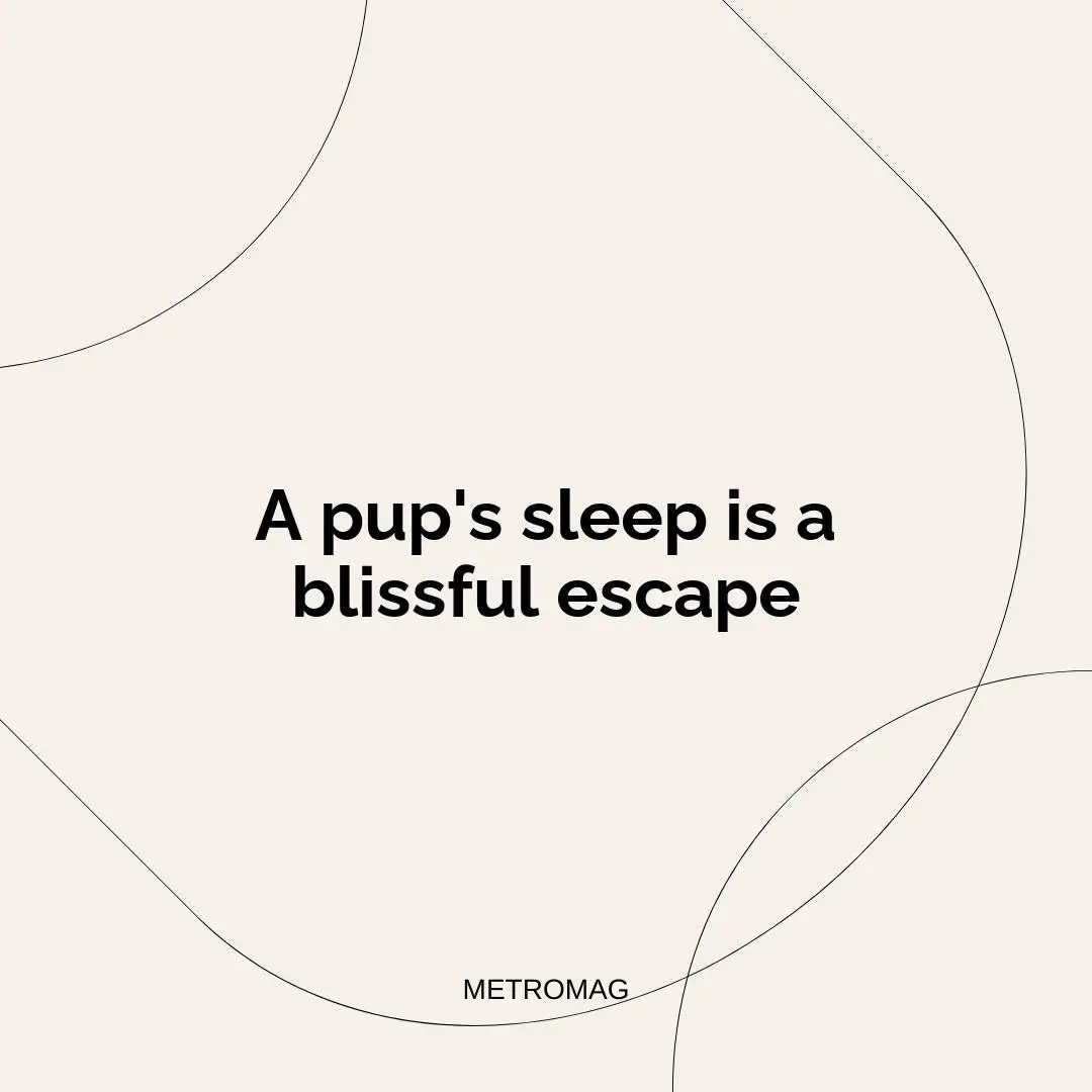 A pup's sleep is a blissful escape