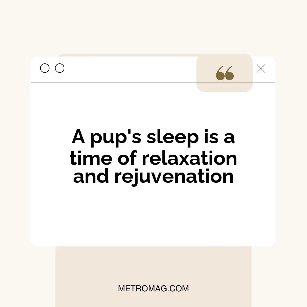 A pup's sleep is a time of relaxation and rejuvenation