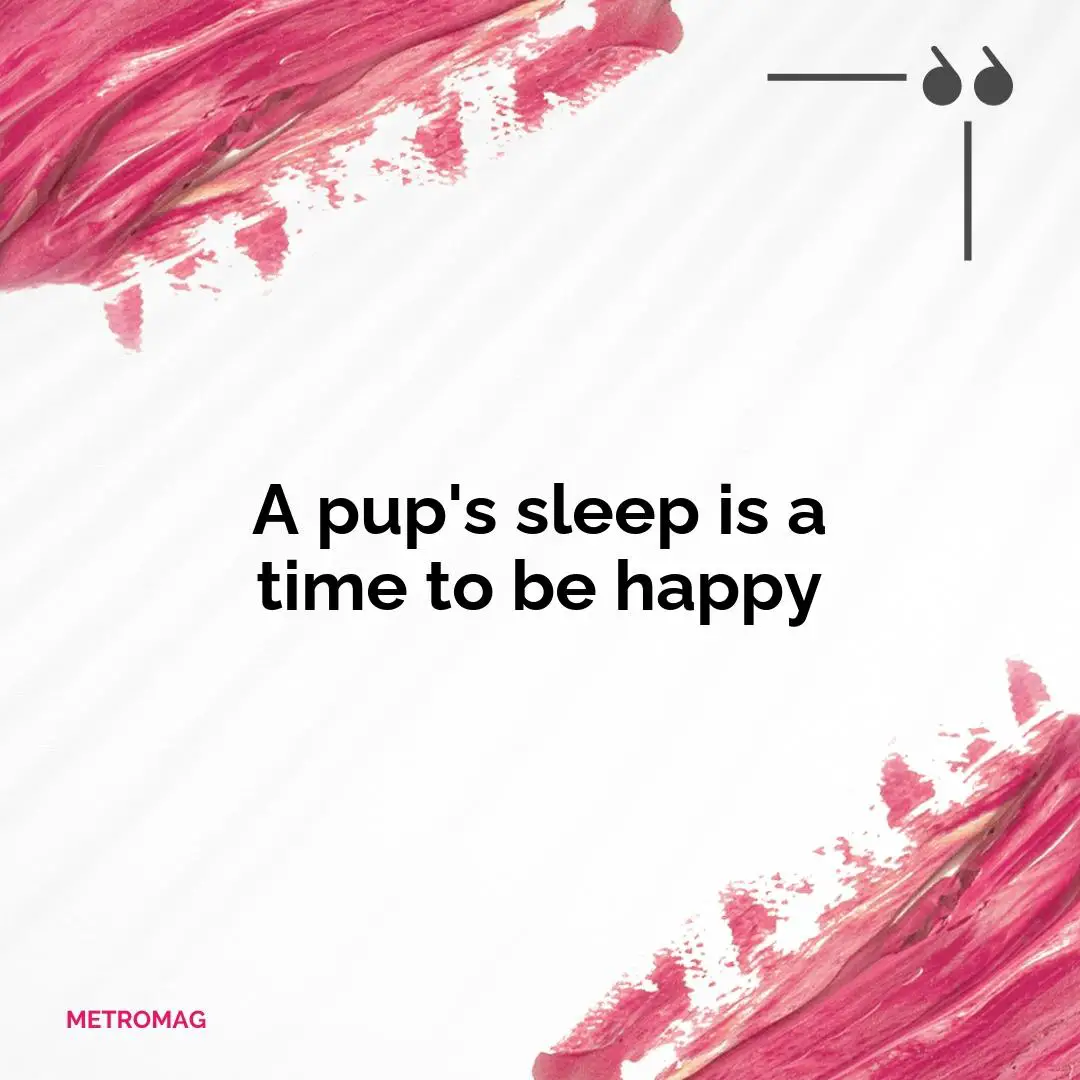 A pup's sleep is a time to be happy