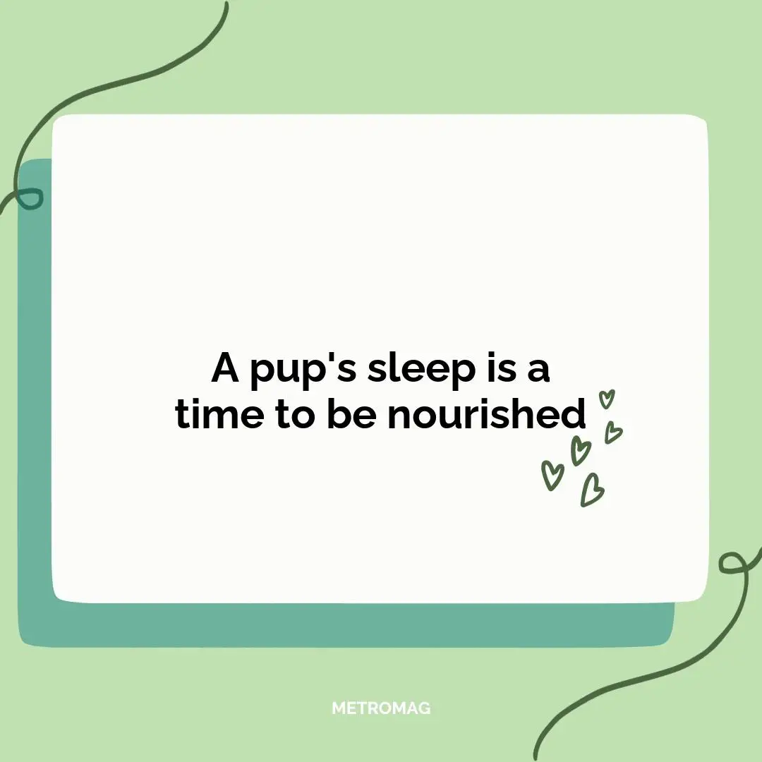 A pup's sleep is a time to be nourished