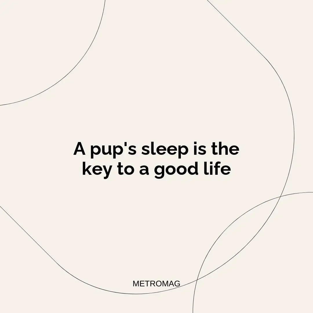 A pup's sleep is the key to a good life