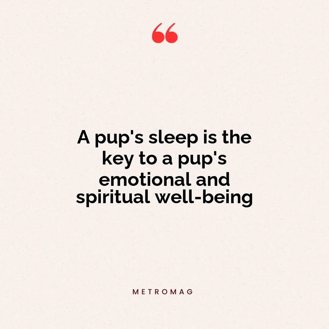 A pup's sleep is the key to a pup's emotional and spiritual well-being