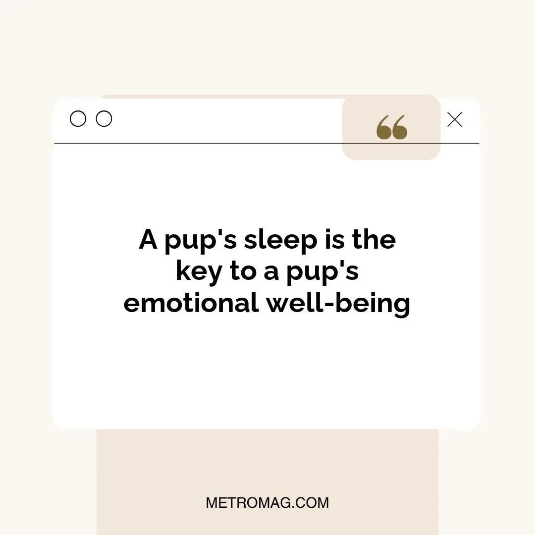 A pup's sleep is the key to a pup's emotional well-being