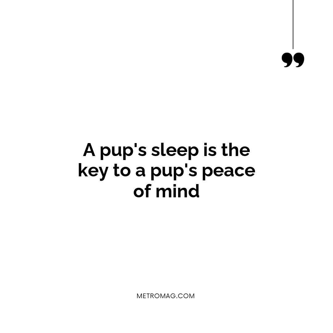 A pup's sleep is the key to a pup's peace of mind