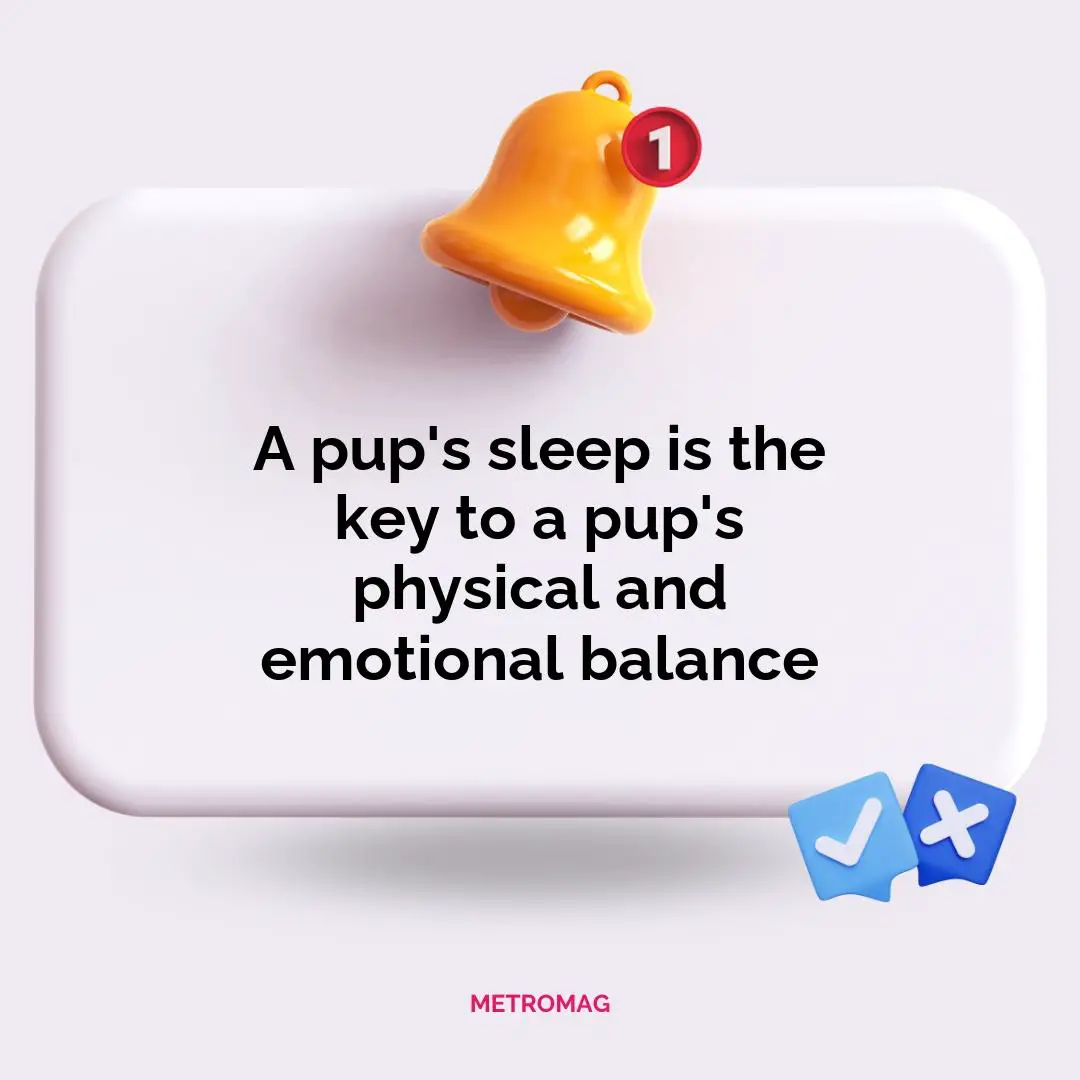 A pup's sleep is the key to a pup's physical and emotional balance