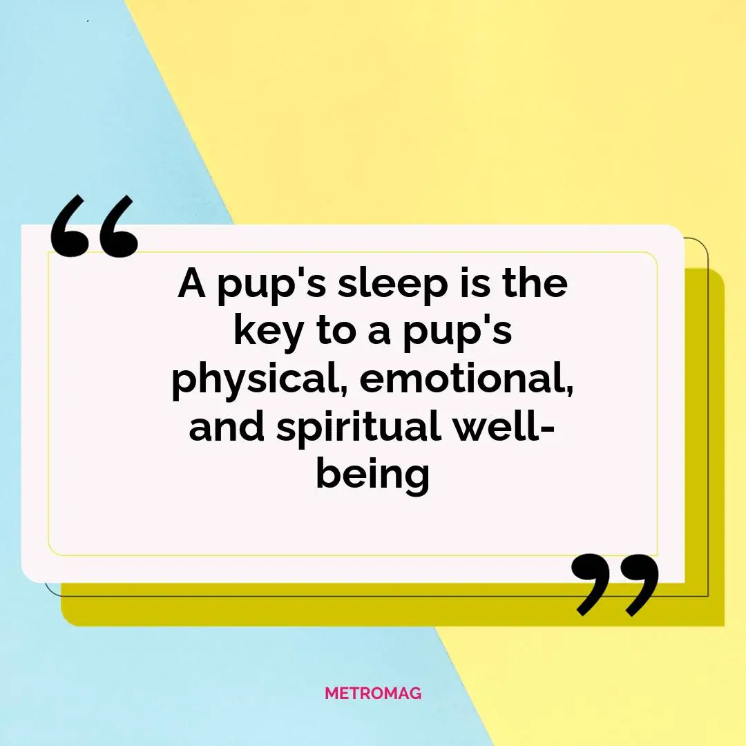A pup's sleep is the key to a pup's physical, emotional, and spiritual well-being