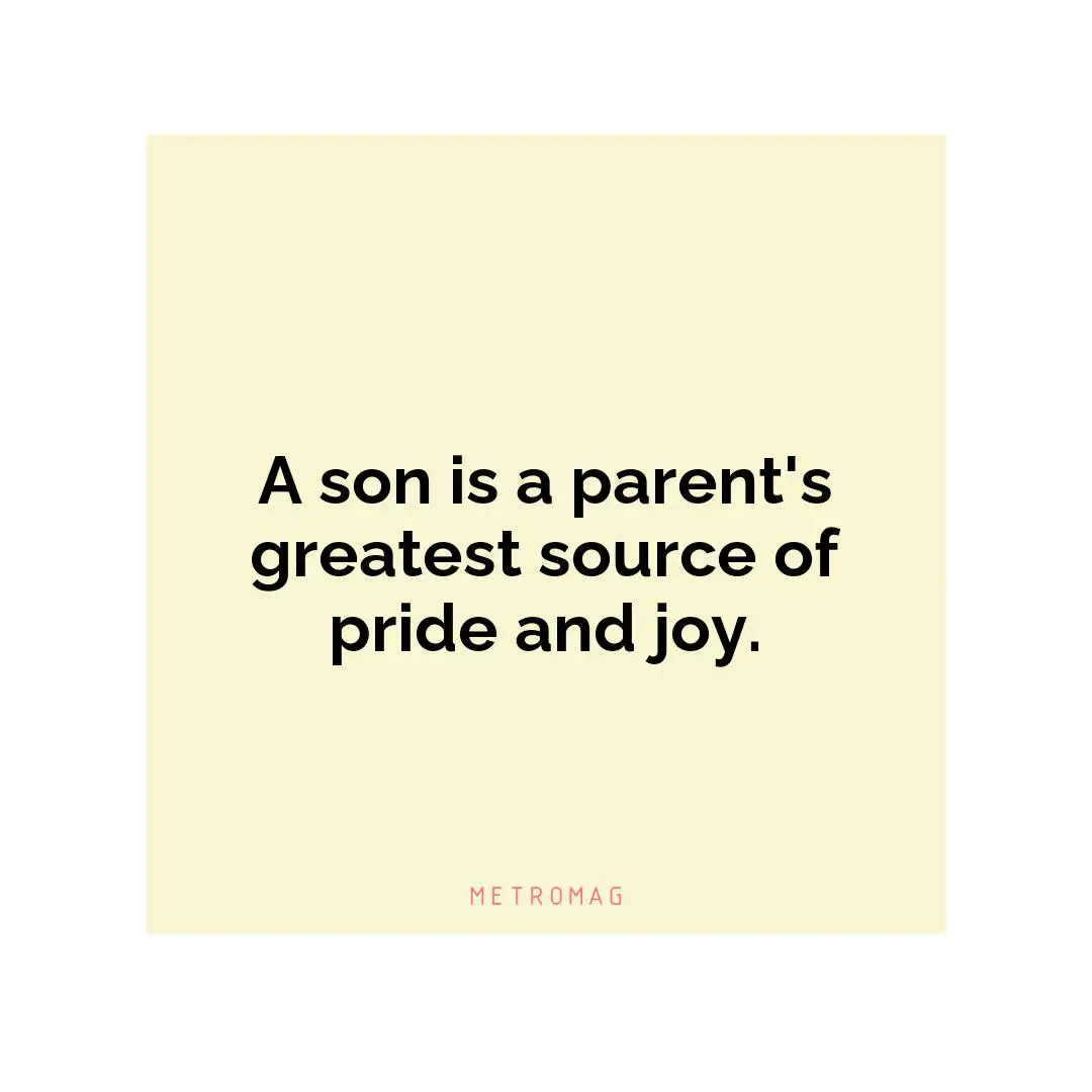 A son is a parent's greatest source of pride and joy.