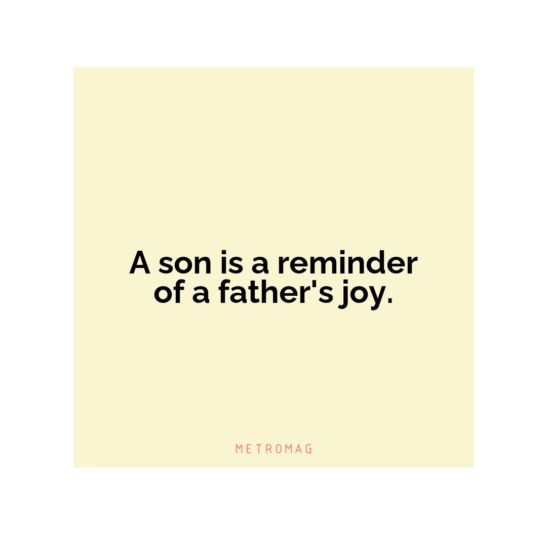 A son is a reminder of a father's joy.