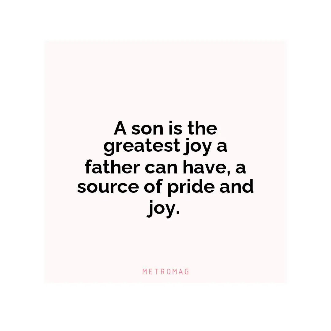 A son is the greatest joy a father can have, a source of pride and joy.
