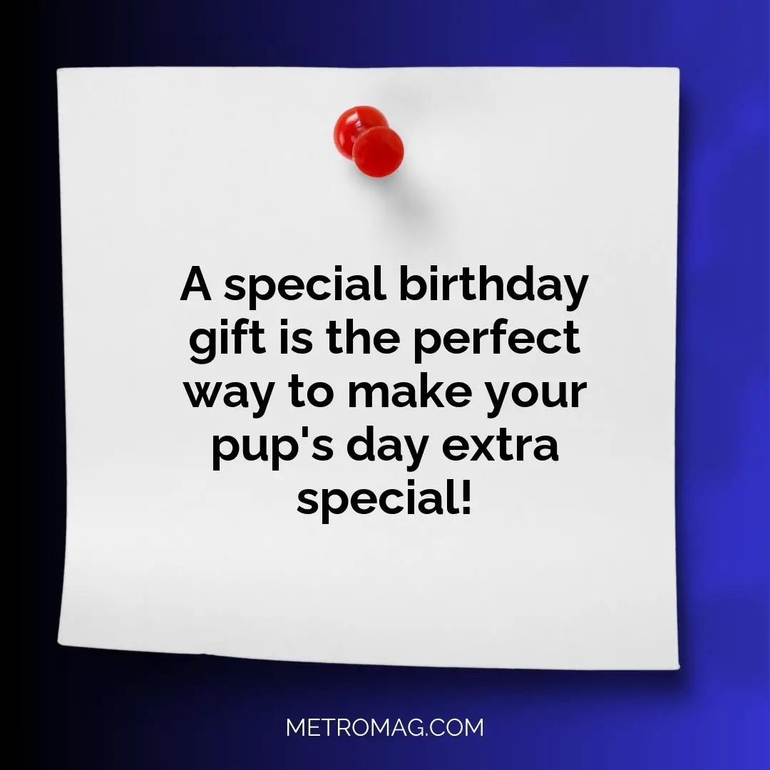 A special birthday gift is the perfect way to make your pup's day extra special!