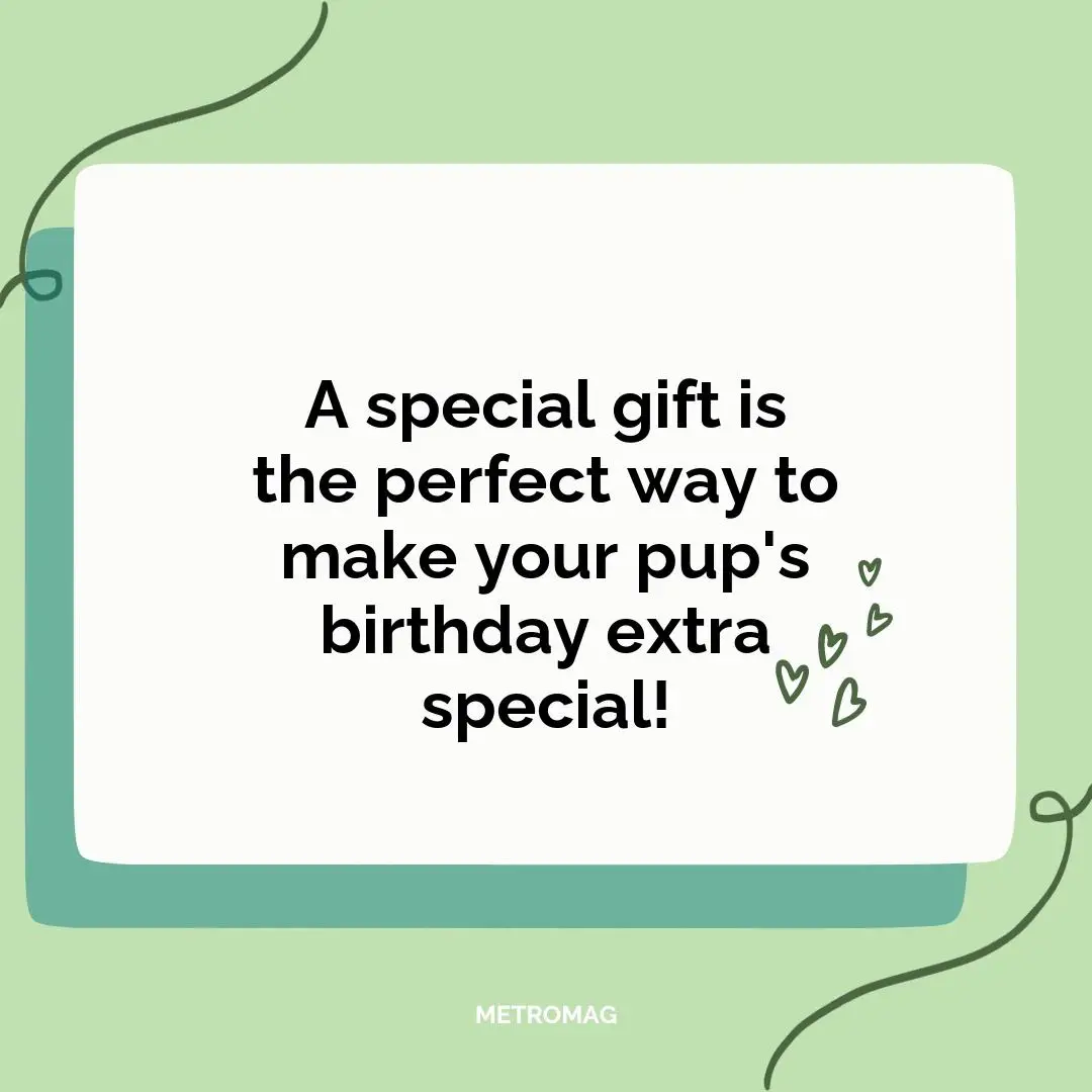 A special gift is the perfect way to make your pup's birthday extra special!