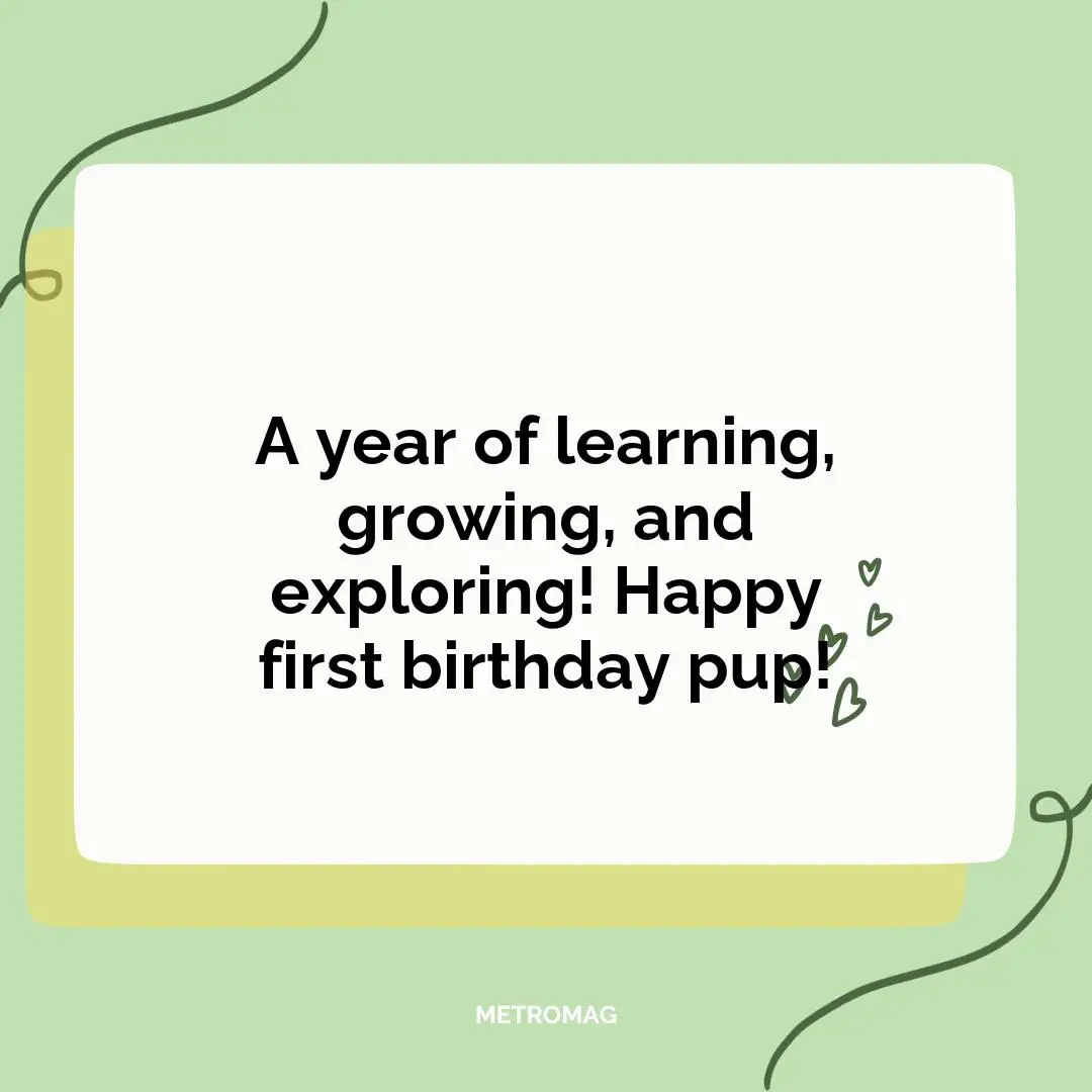 A year of learning, growing, and exploring! Happy first birthday pup!