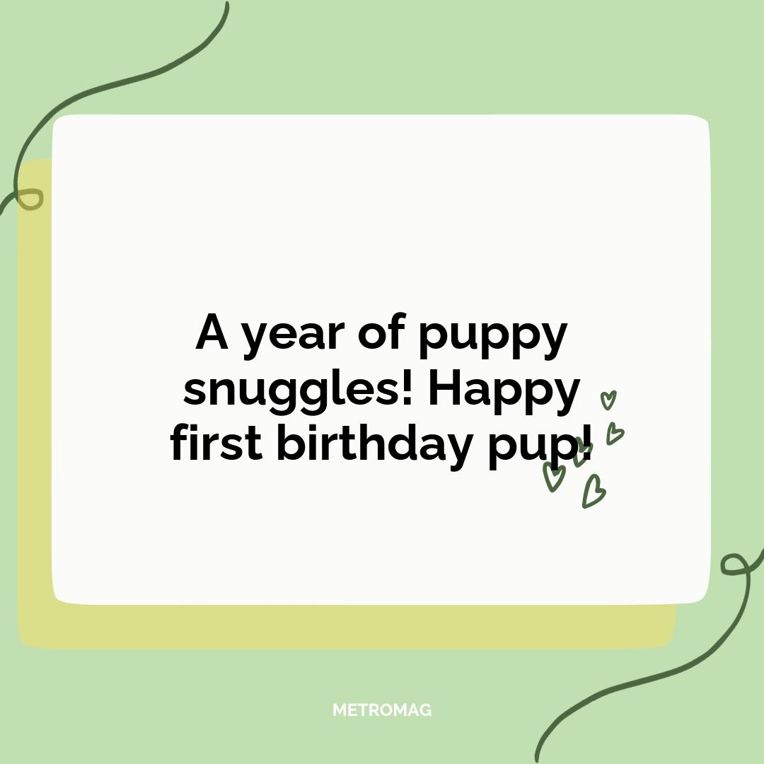 A year of puppy snuggles! Happy first birthday pup!