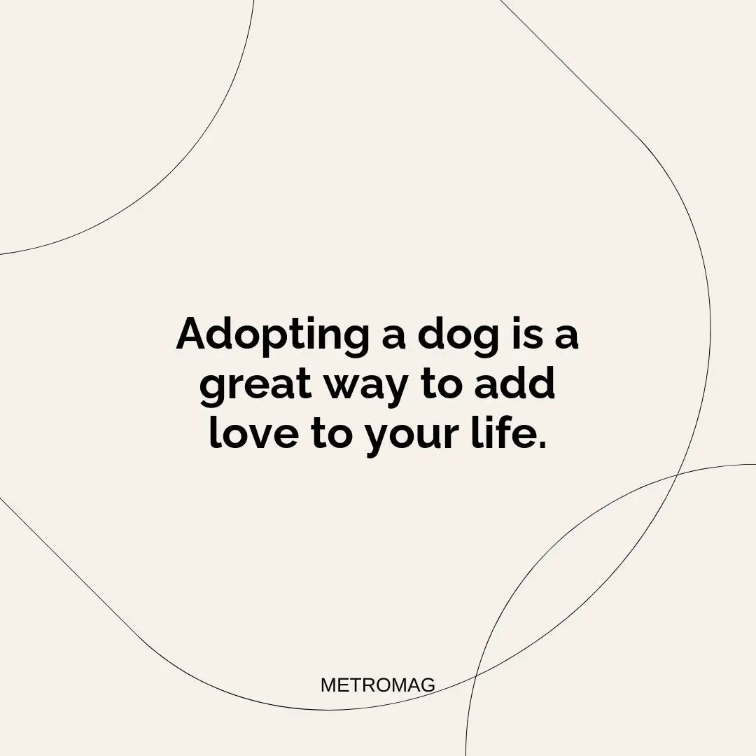 Adopting a dog is a great way to add love to your life.