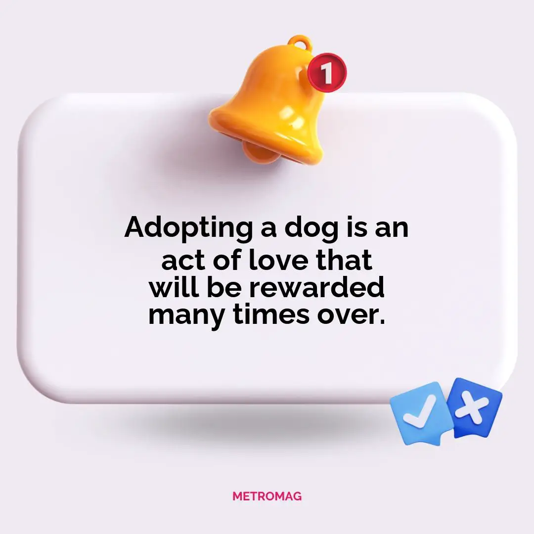 Adopting a dog is an act of love that will be rewarded many times over.