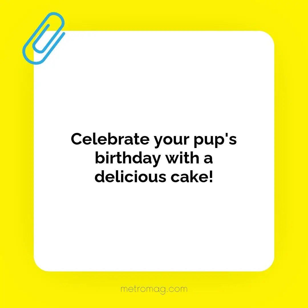 Celebrate your pup's birthday with a delicious cake!