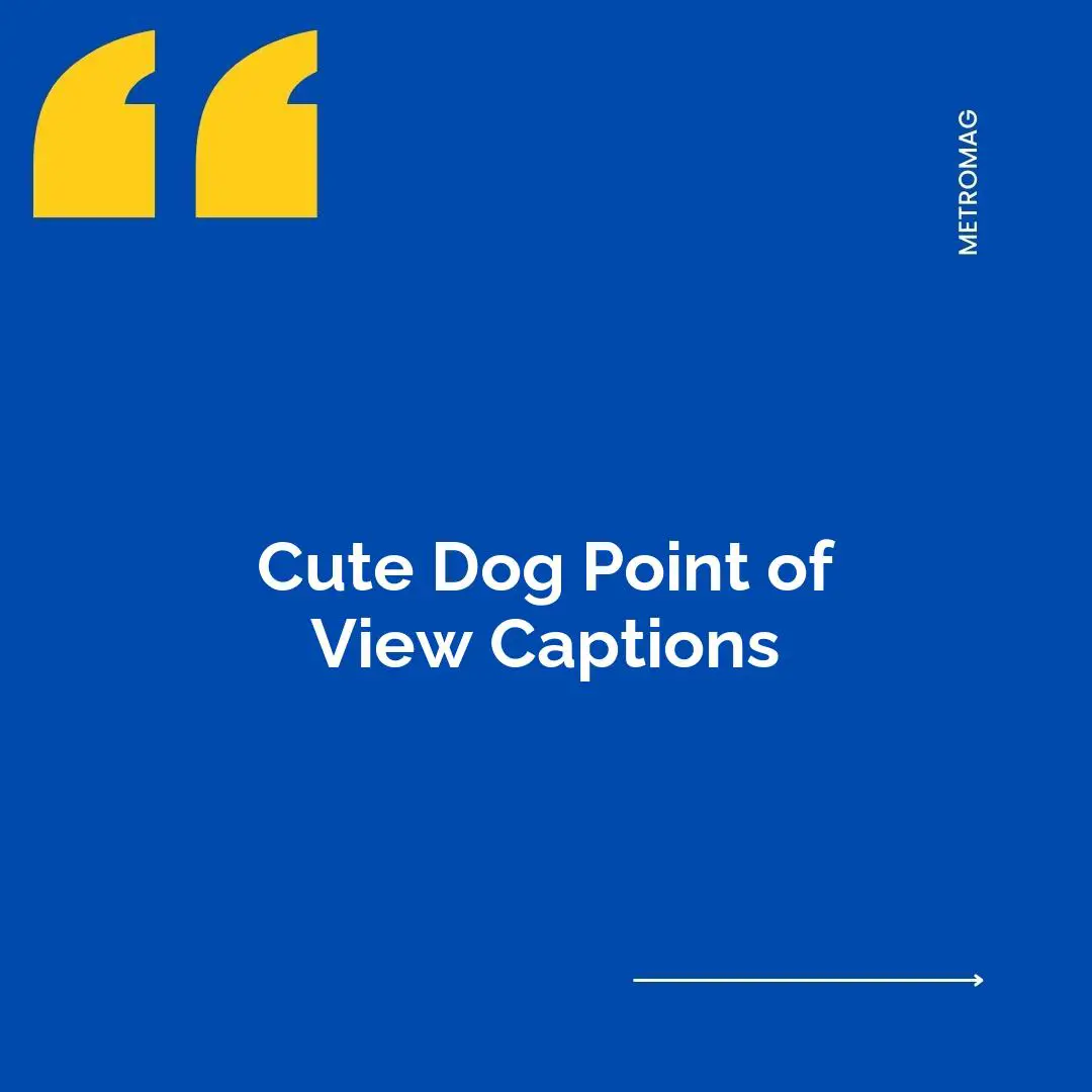 Cute Dog Point of View Captions