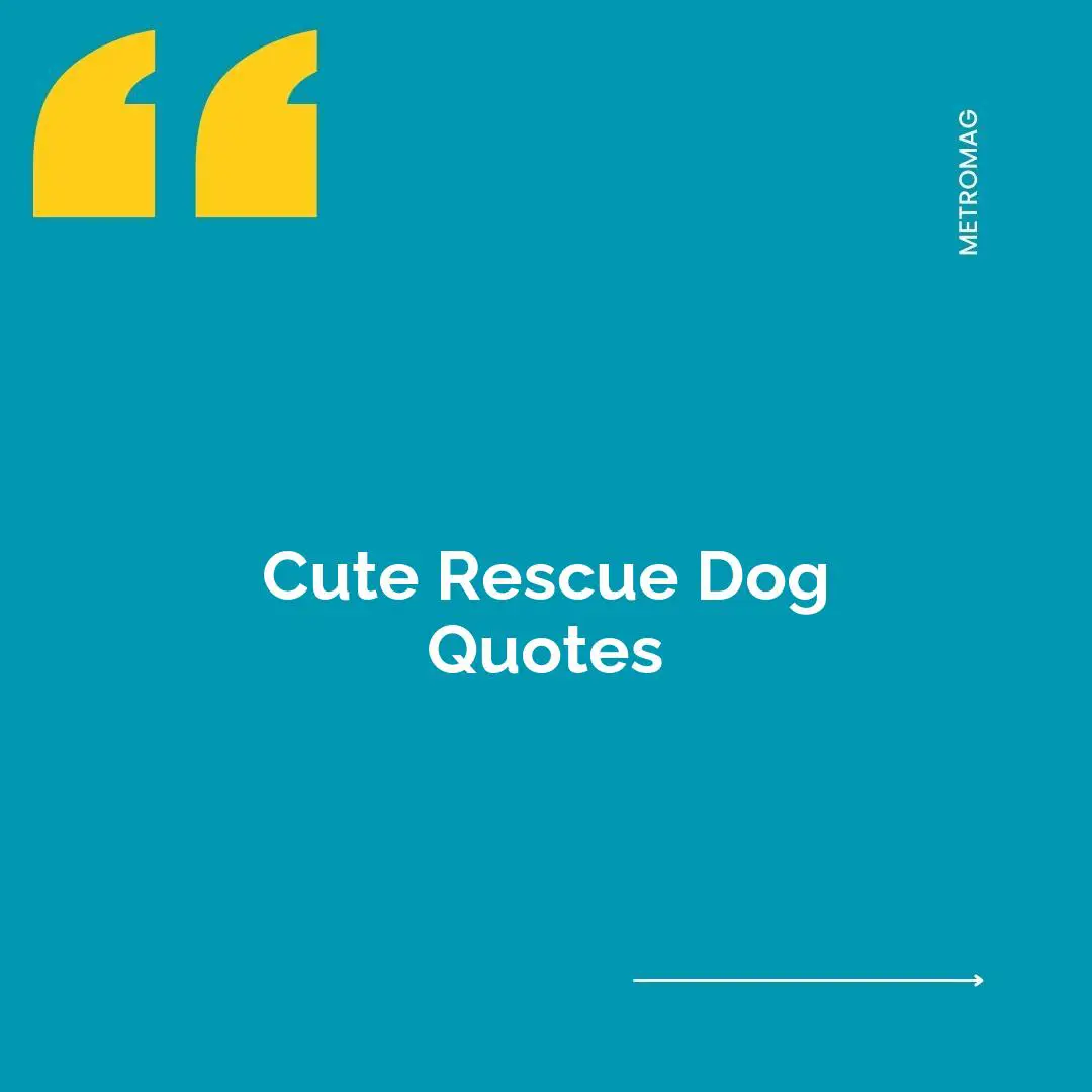 Cute Rescue Dog Quotes