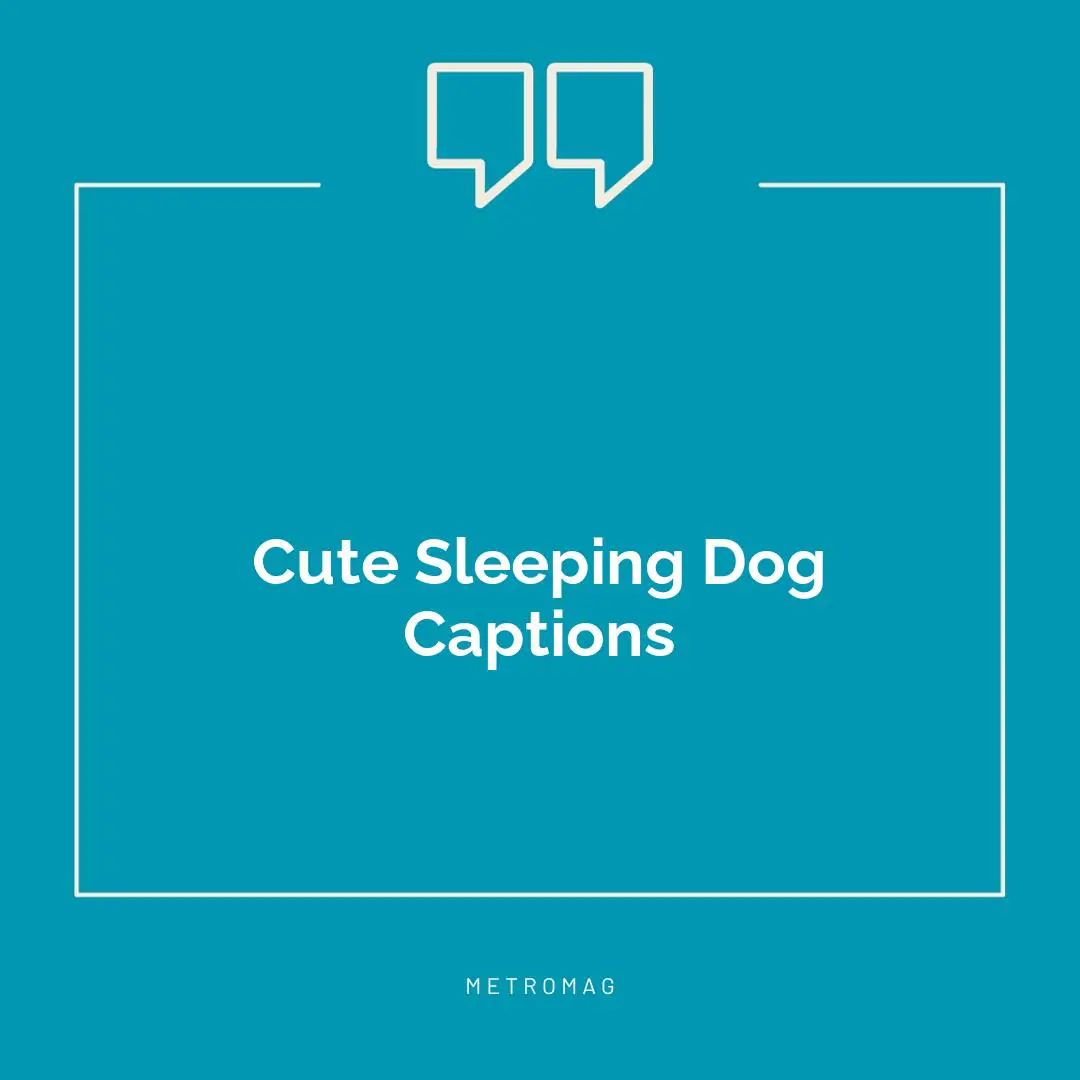 Cute Sleeping Dog Captions