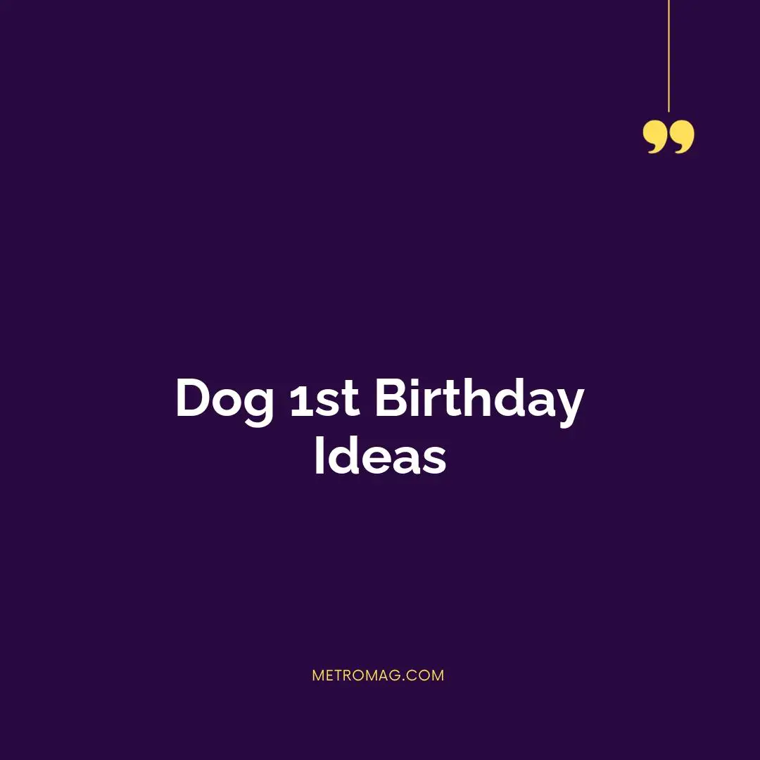 Dog 1st Birthday Ideas