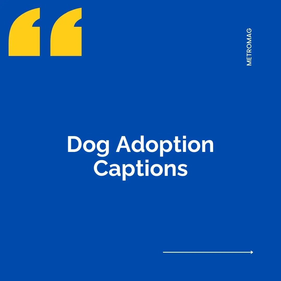 Dog Adoption Captions