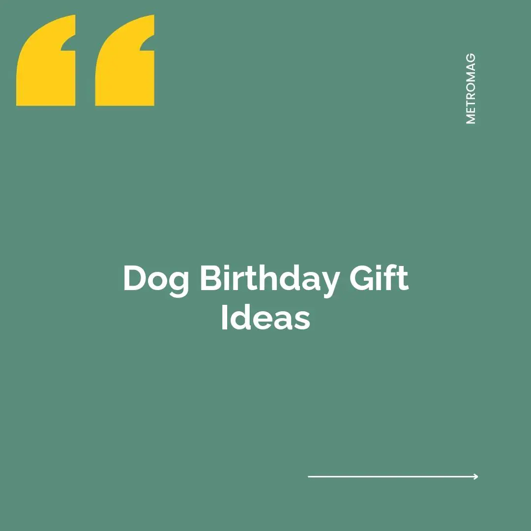 Dog Birthday Gift Ideas