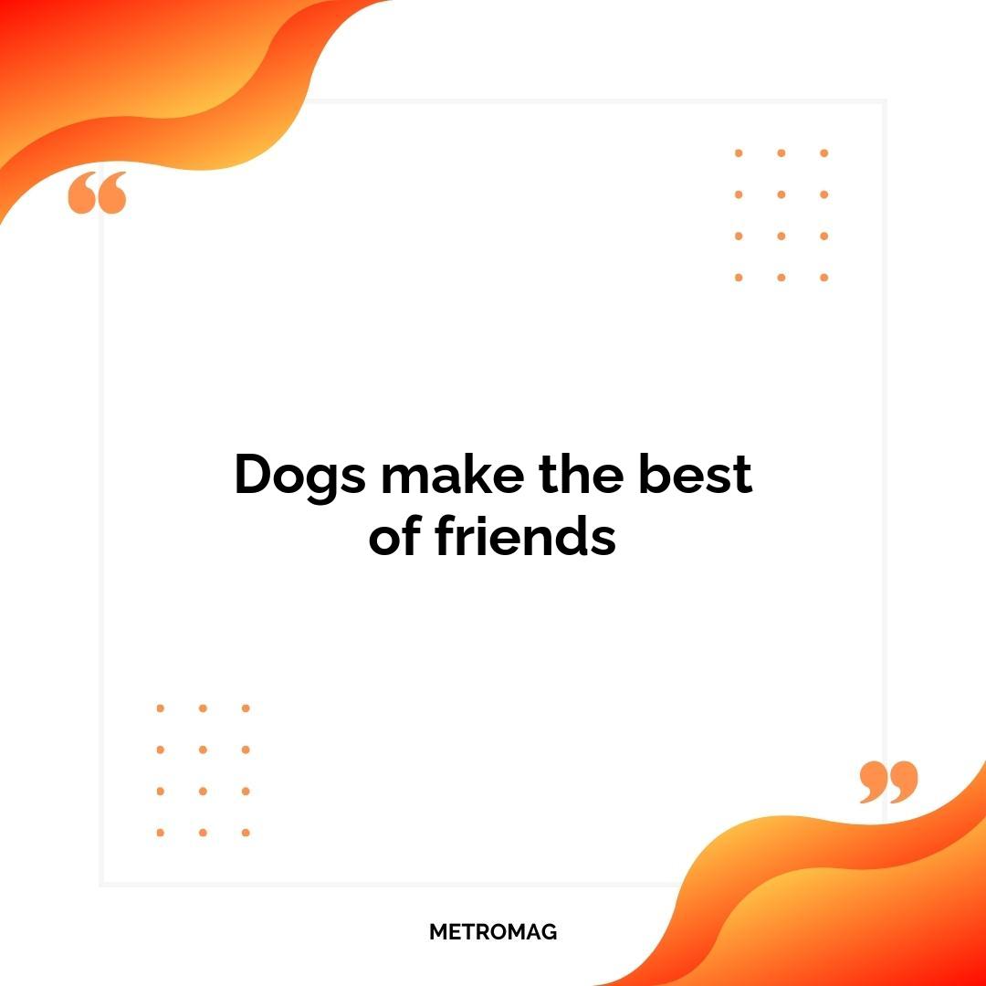 Dogs make the best of friends