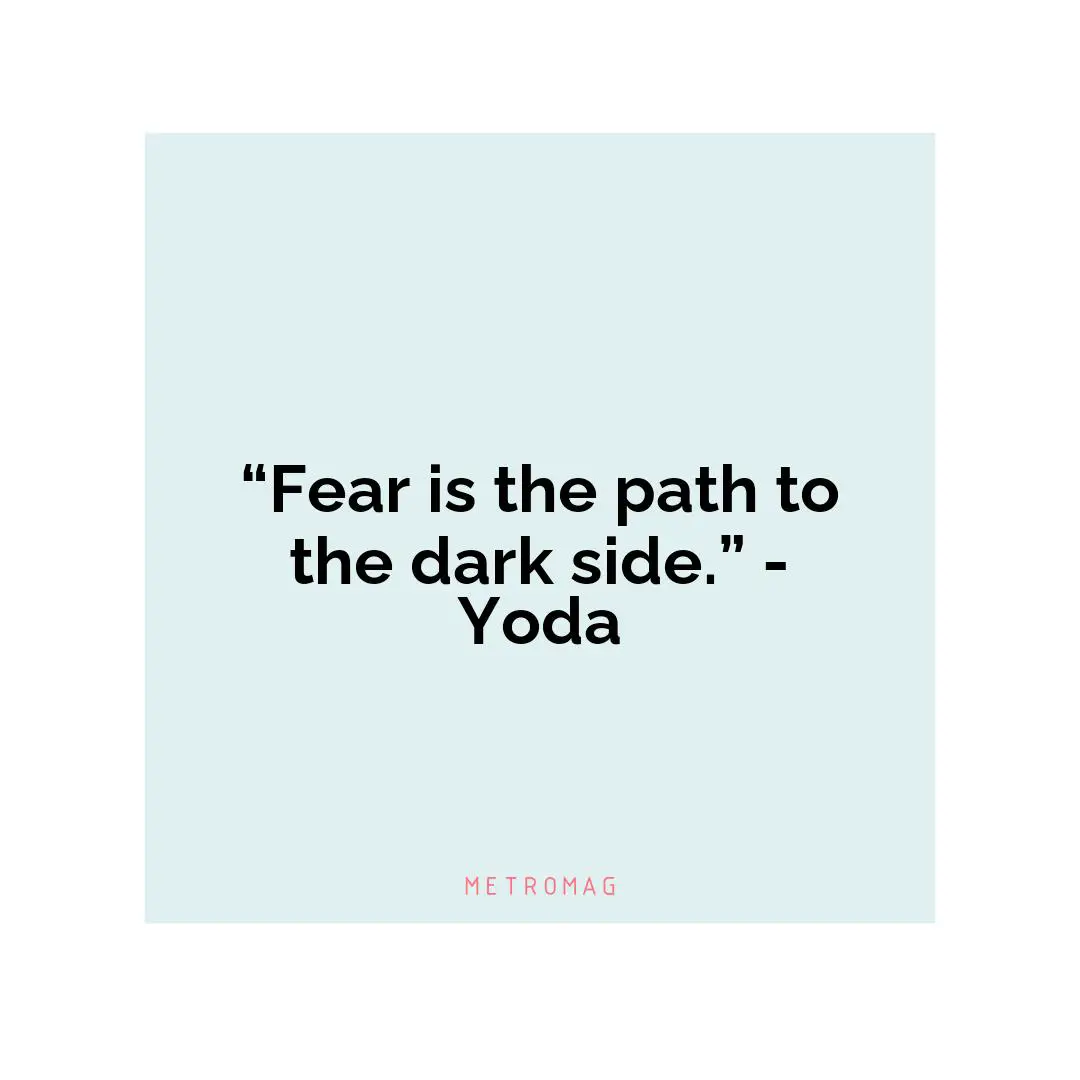 “Fear is the path to the dark side.” - Yoda