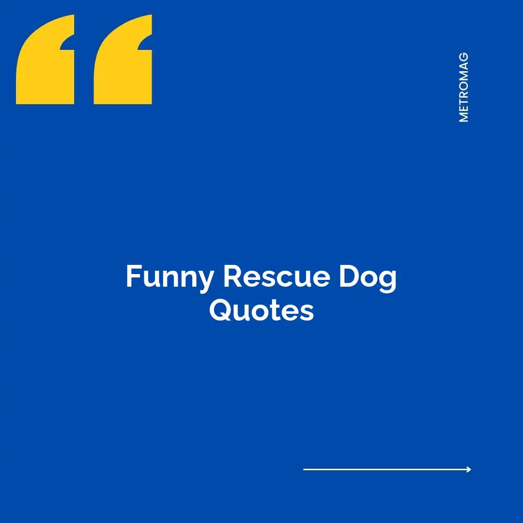 Funny Rescue Dog Quotes