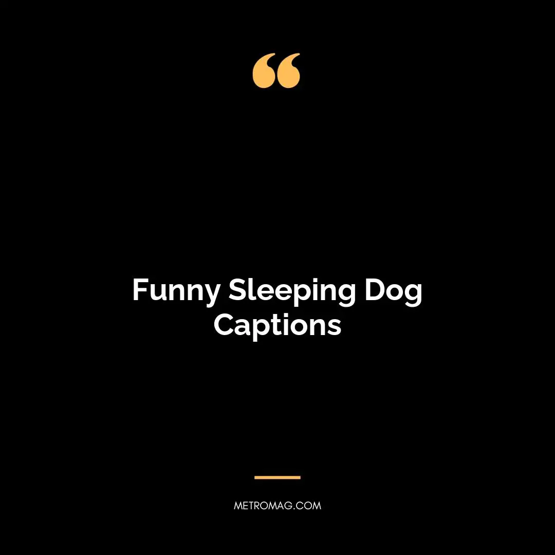 Funny Sleeping Dog Captions