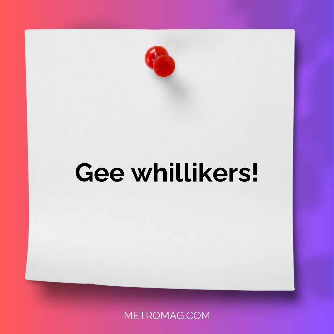 Gee whillikers!