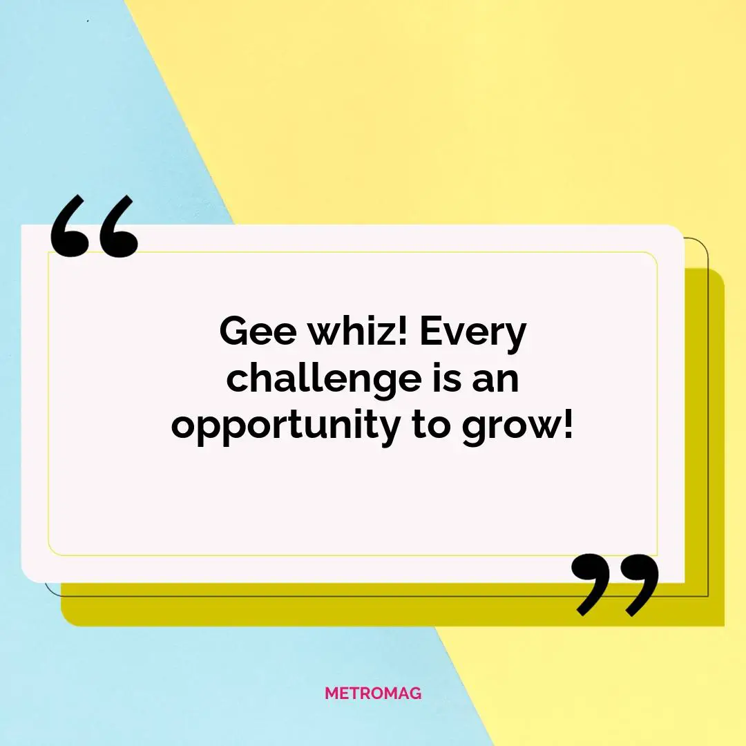 Gee whiz! Every challenge is an opportunity to grow!