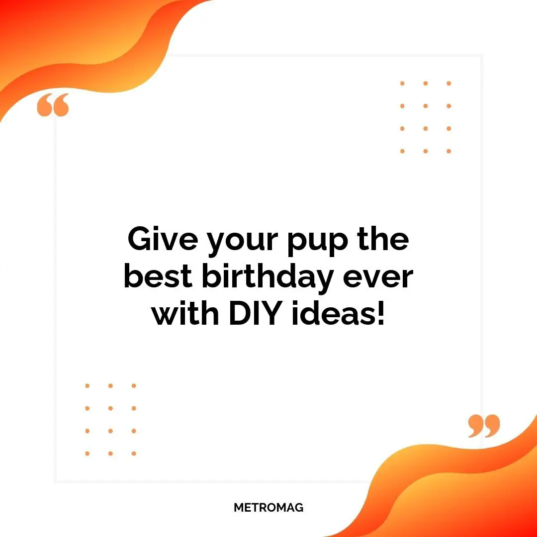 Give your pup the best birthday ever with DIY ideas!
