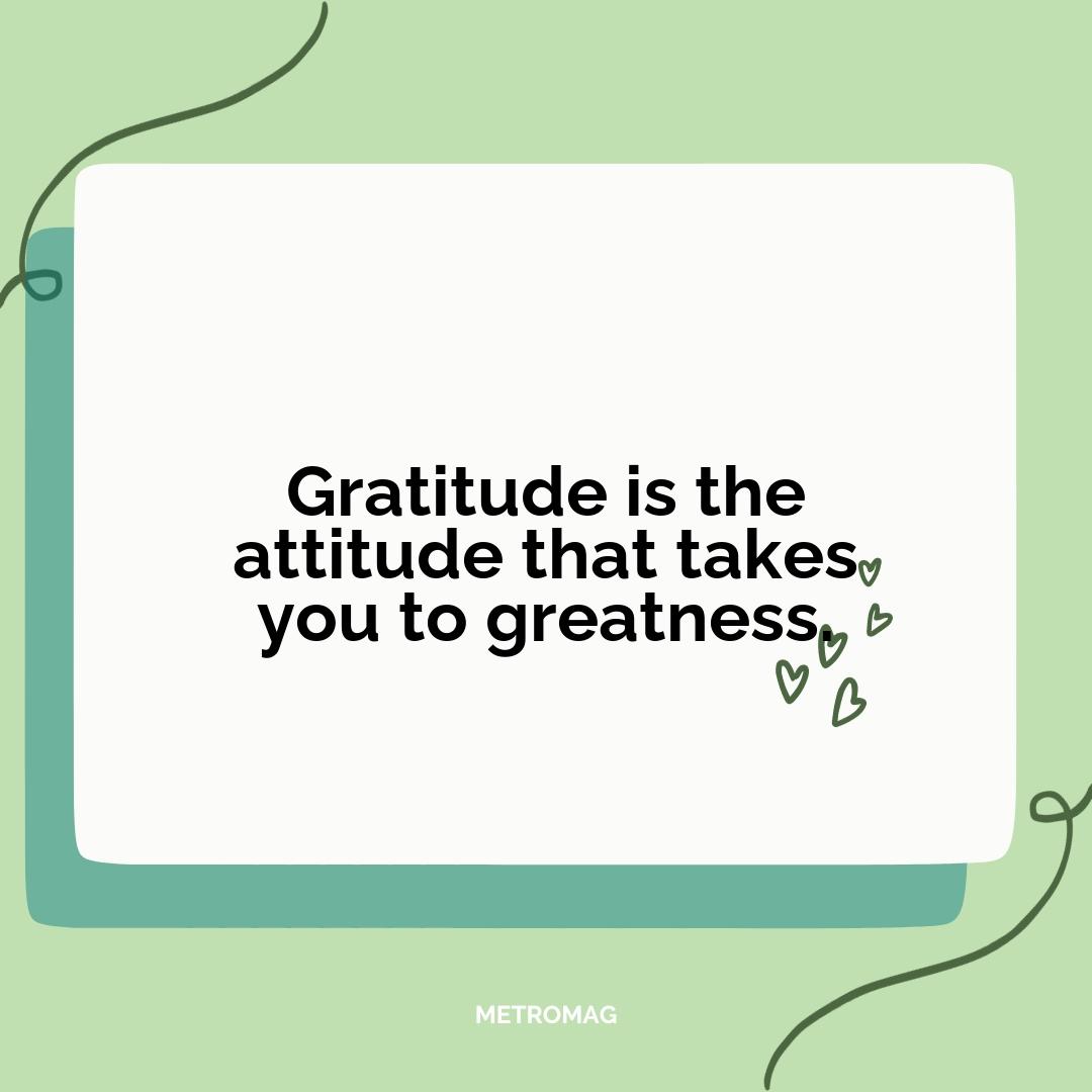 Gratitude is the attitude that takes you to greatness.