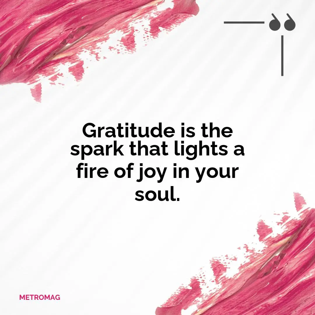 Gratitude is the spark that lights a fire of joy in your soul.