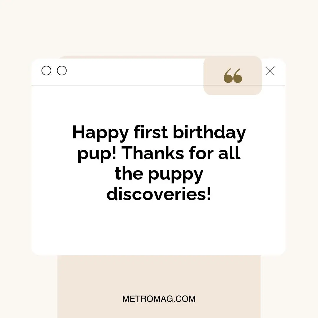 Happy first birthday pup! Thanks for all the puppy discoveries!