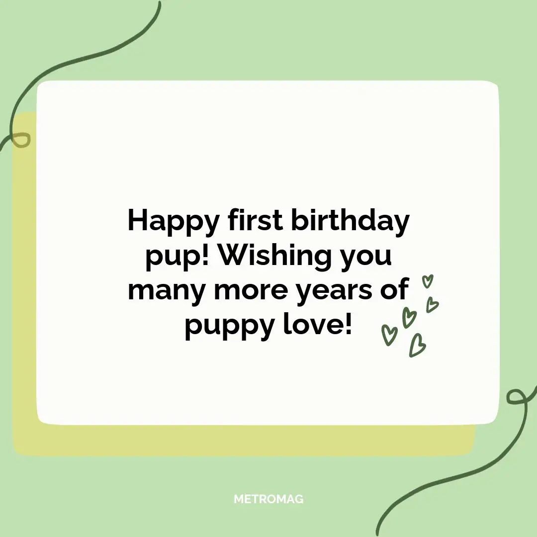 Happy first birthday pup! Wishing you many more years of puppy love!