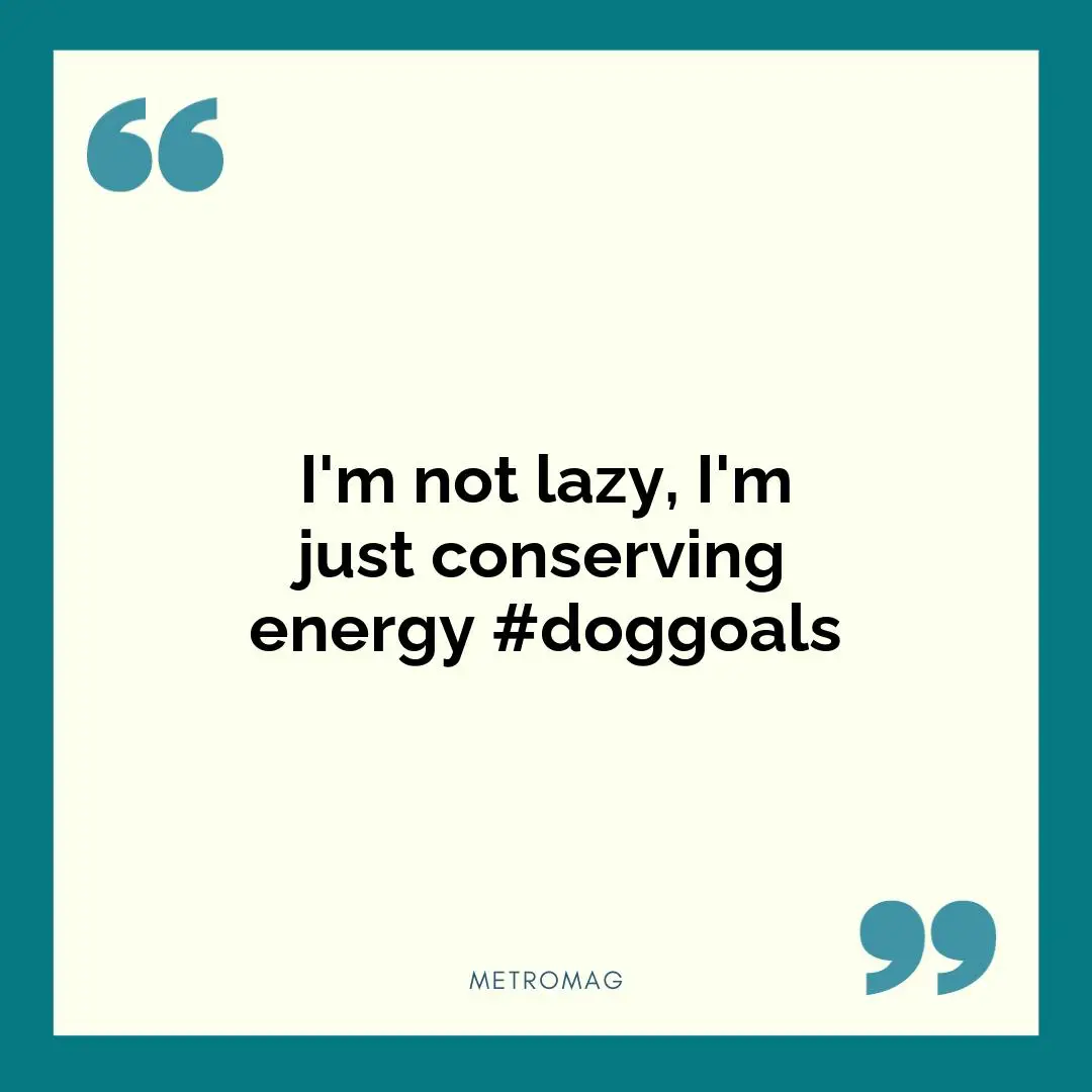 I'm not lazy, I'm just conserving energy #doggoals
