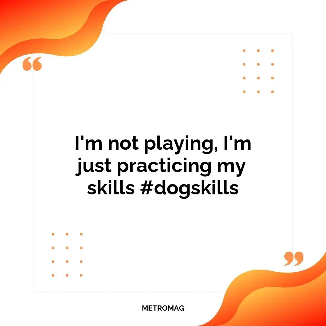 I'm not playing, I'm just practicing my skills #dogskills