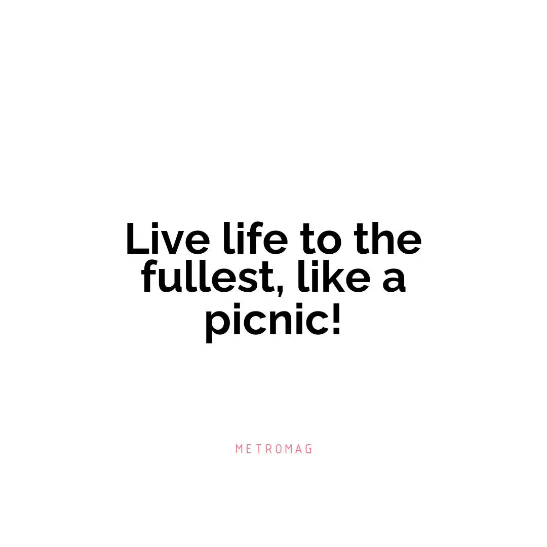 Live life to the fullest, like a picnic!
