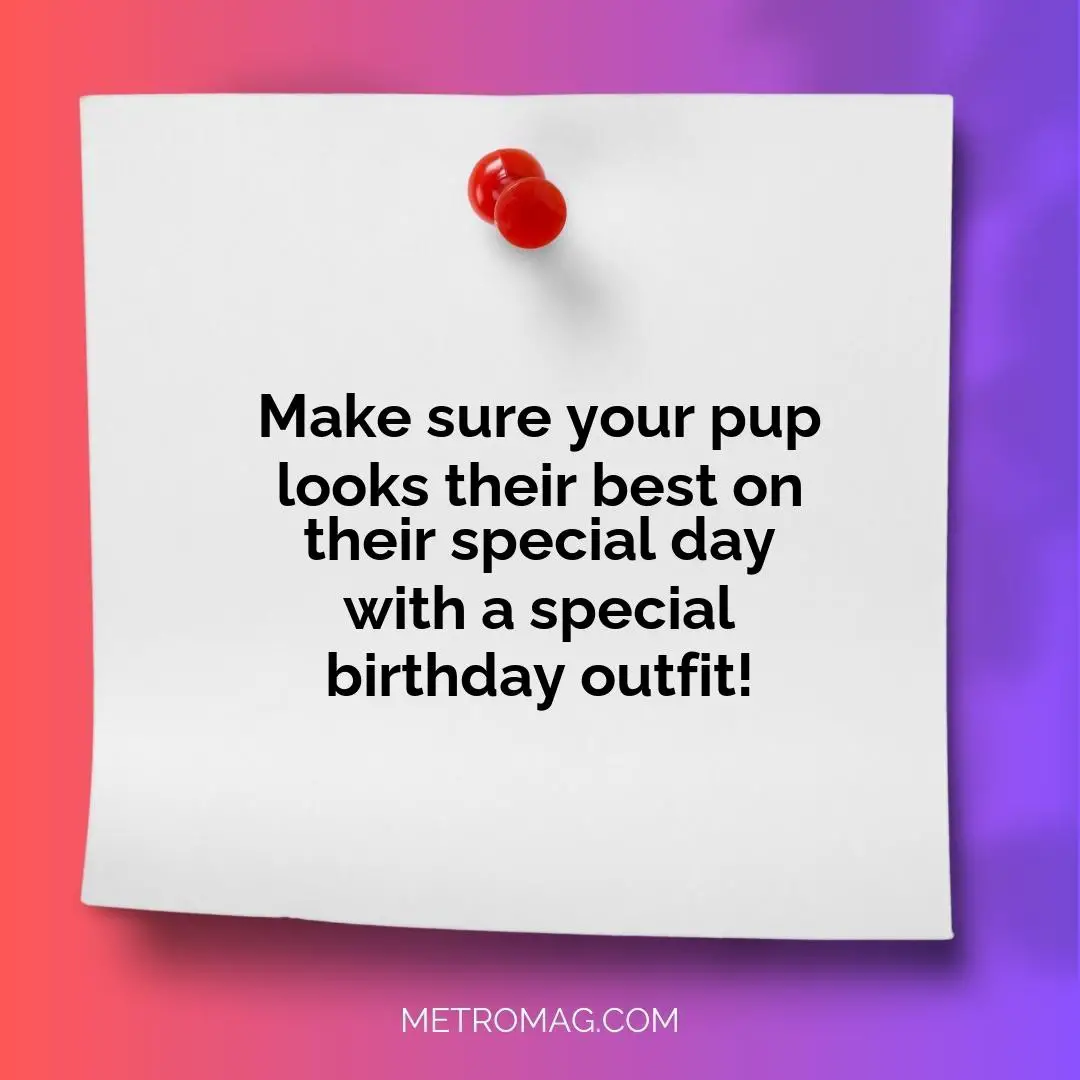 Make sure your pup looks their best on their special day with a special birthday outfit!