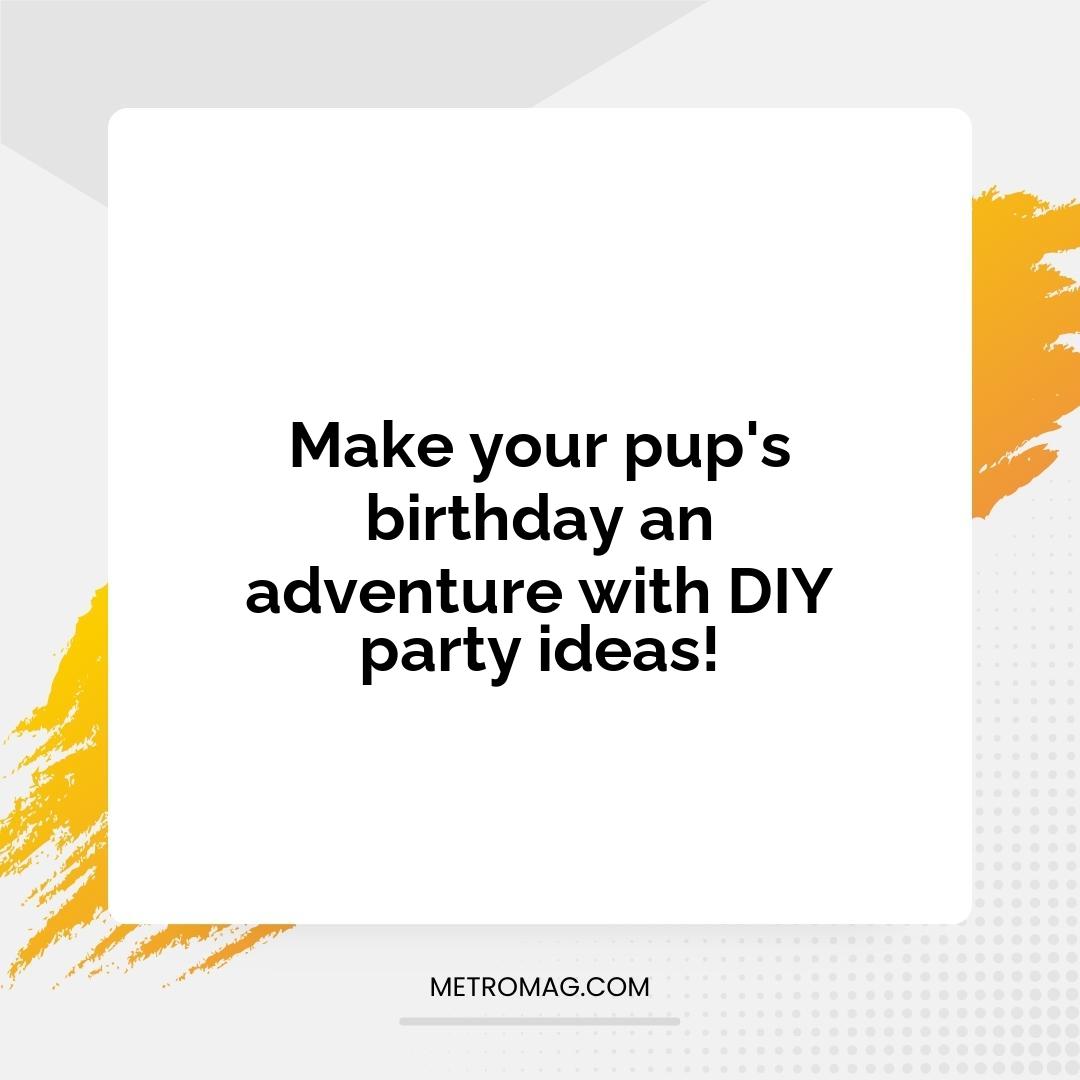 Make your pup's birthday an adventure with DIY party ideas!