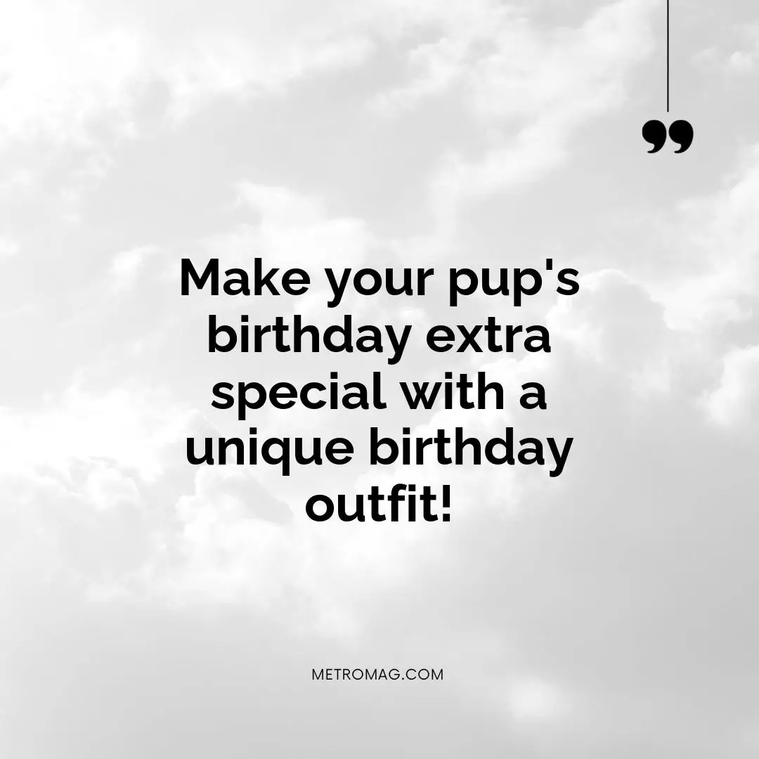 Make your pup's birthday extra special with a unique birthday outfit!