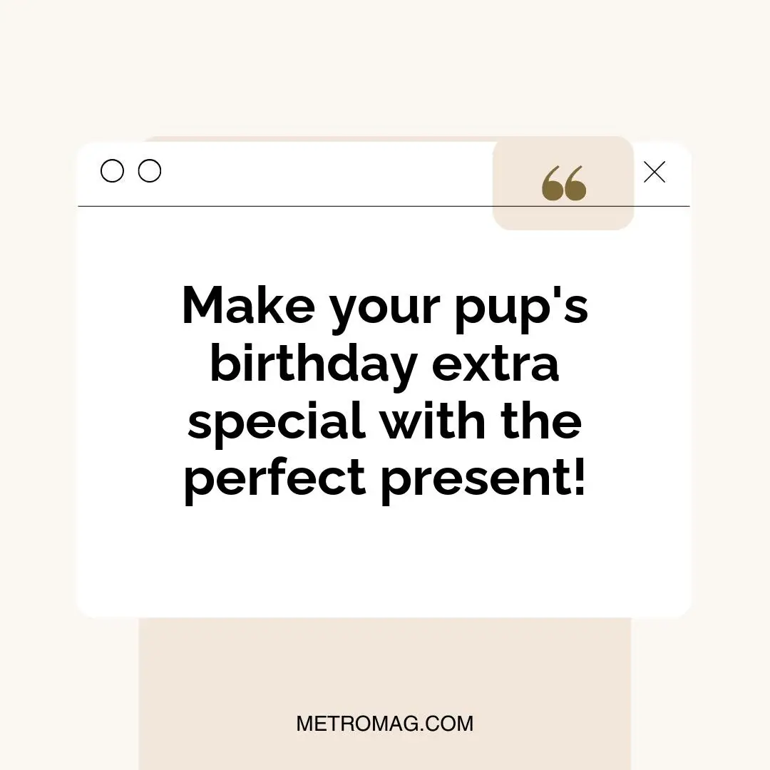 Make your pup's birthday extra special with the perfect present!